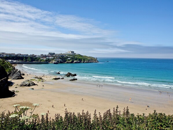 Fishing - 2 bedroom accommodation in Newquay (Newquay)