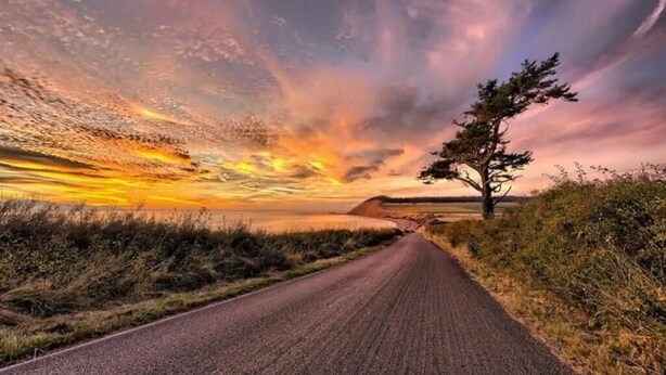 Eine ländliche Straße mit einem Baum am rechten Rand und einem Sonnenuntergang im Hintergrund.