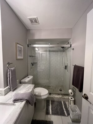 Chuveiro, secador de cabelo, toalhas de banho, sabonete