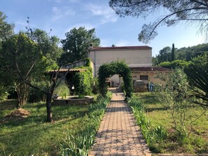 Property grounds - La Graine de Vie - LE Thoronet (LE THORONET)