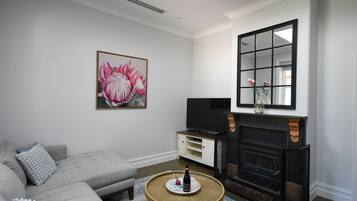 TV, fireplace, video games, DVD player