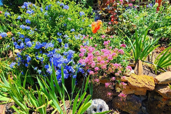 Detall de l'exterior