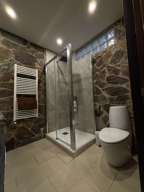 Une salle de bain avec une douche à parois de verre, des toilettes et un porte-serviettes adossé à un mur en pierre.