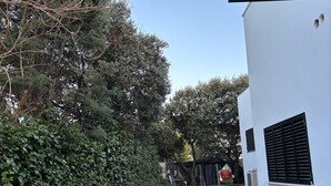 Un sendero empedrado que conduce a un edificio blanco con contraventanas negras, rodeado de follaje y árboles densos.