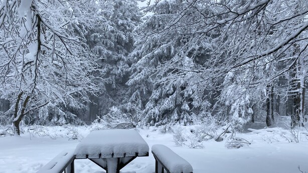 Een sneeuwbedekte picknicktafel in een bos.