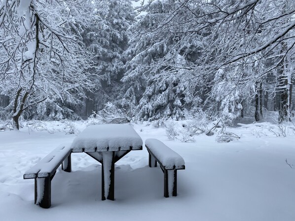 تناول الطعام بالخارج