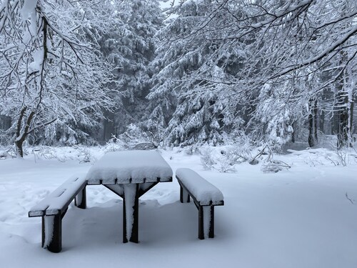 Le Chalet du Hohwald