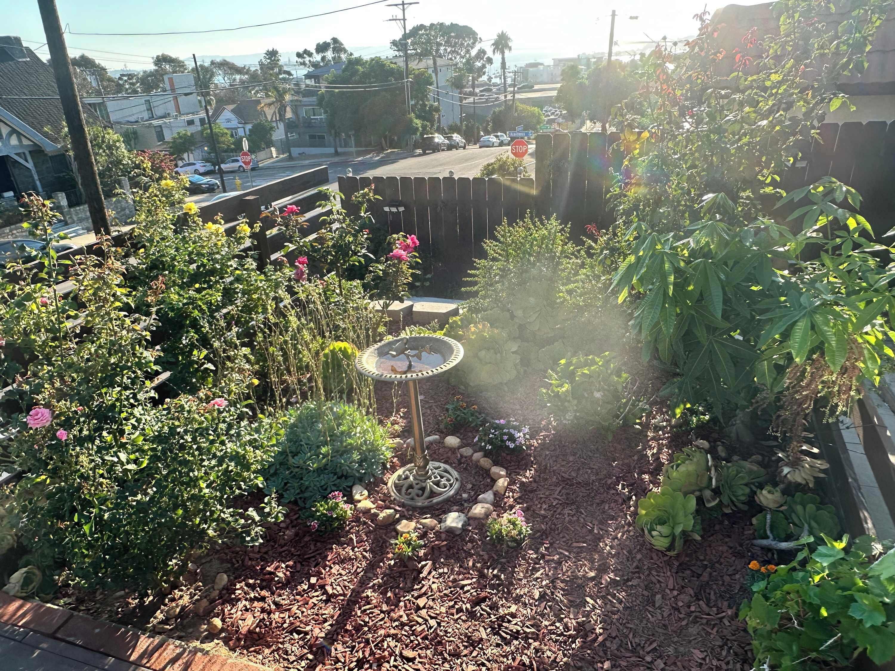 Un jardín con una fuente para pájaros, diversas plantas y una señal de parada al fondo.