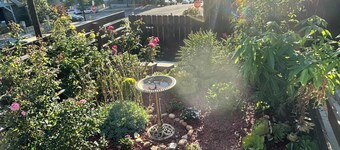 Charming Guest House in SD