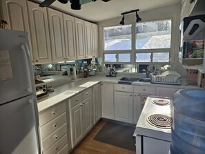 Kjøleskap, ovn, kokeplater og papirhåndklær