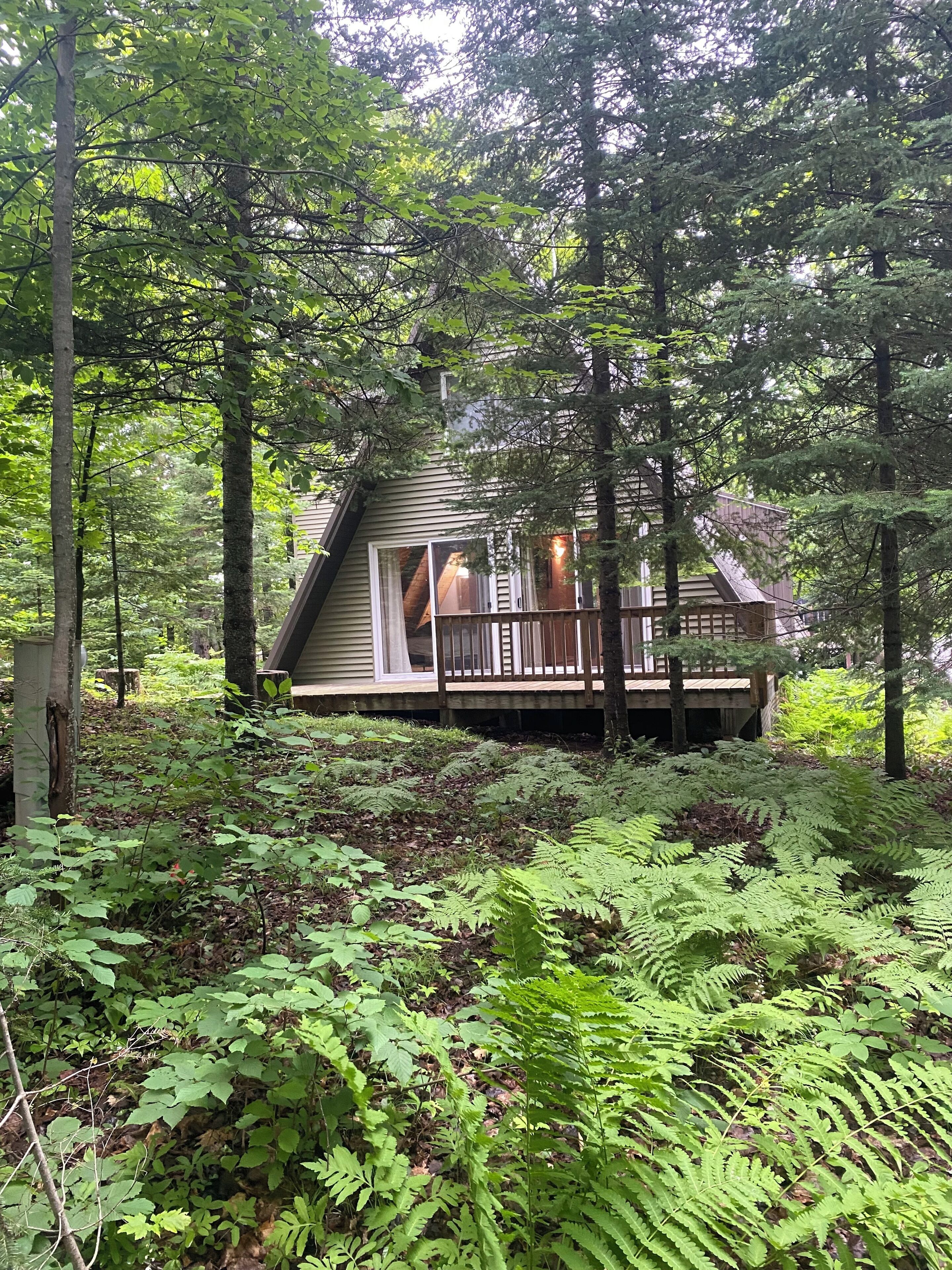 A cabin surrounded by dense forest, with a wooden deck and large windows.