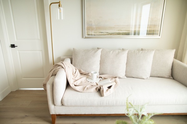 TV connectée, lecteur de DVD, livres