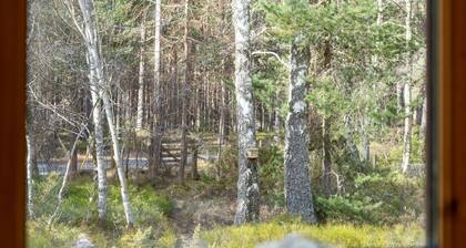 Osprey House by Interhome