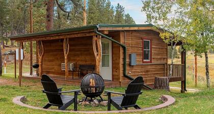 Mountain View Gem: Firepit + Sauna + Enjoy Wildlife