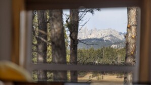 Vista pela janela de uma paisagem montanhosa com árvores ao primeiro plano.
