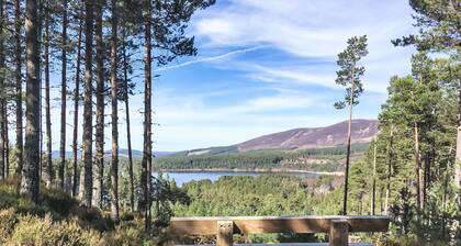 Muir Edge by Interhome