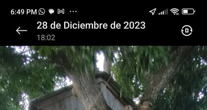 D' Ramos Alojamiento