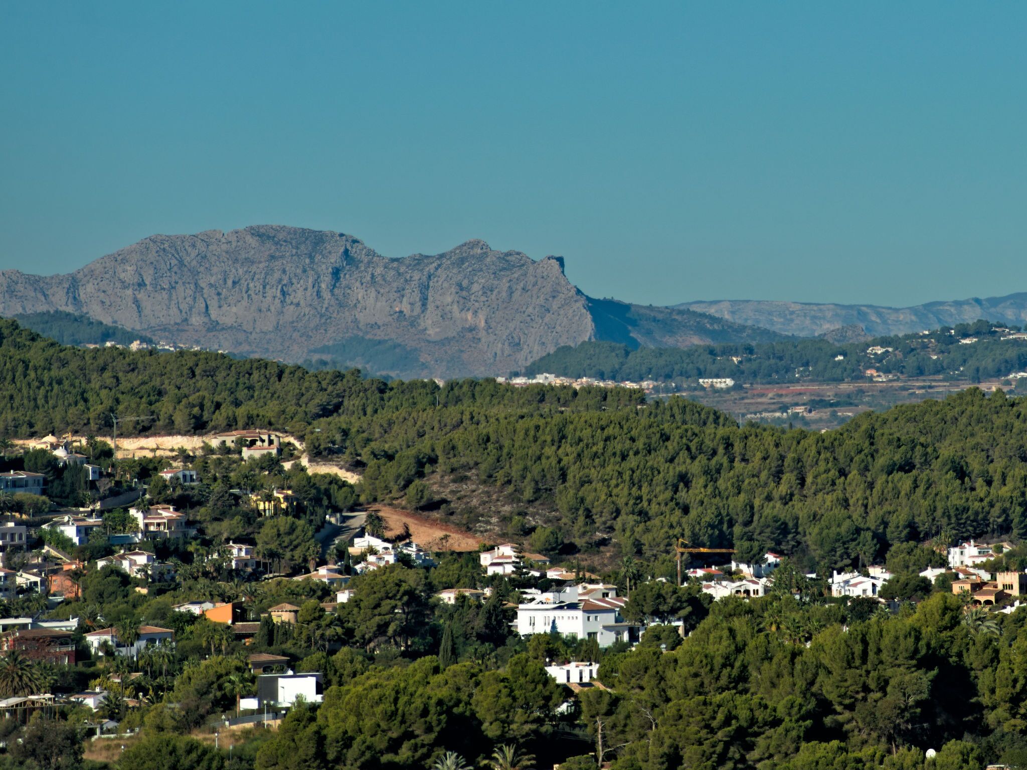 A residential area with houses surrounded by dense green trees and a mountain in the background.