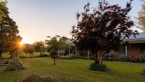 Un giardino curato con prato, piante fiorite e un grande albero.