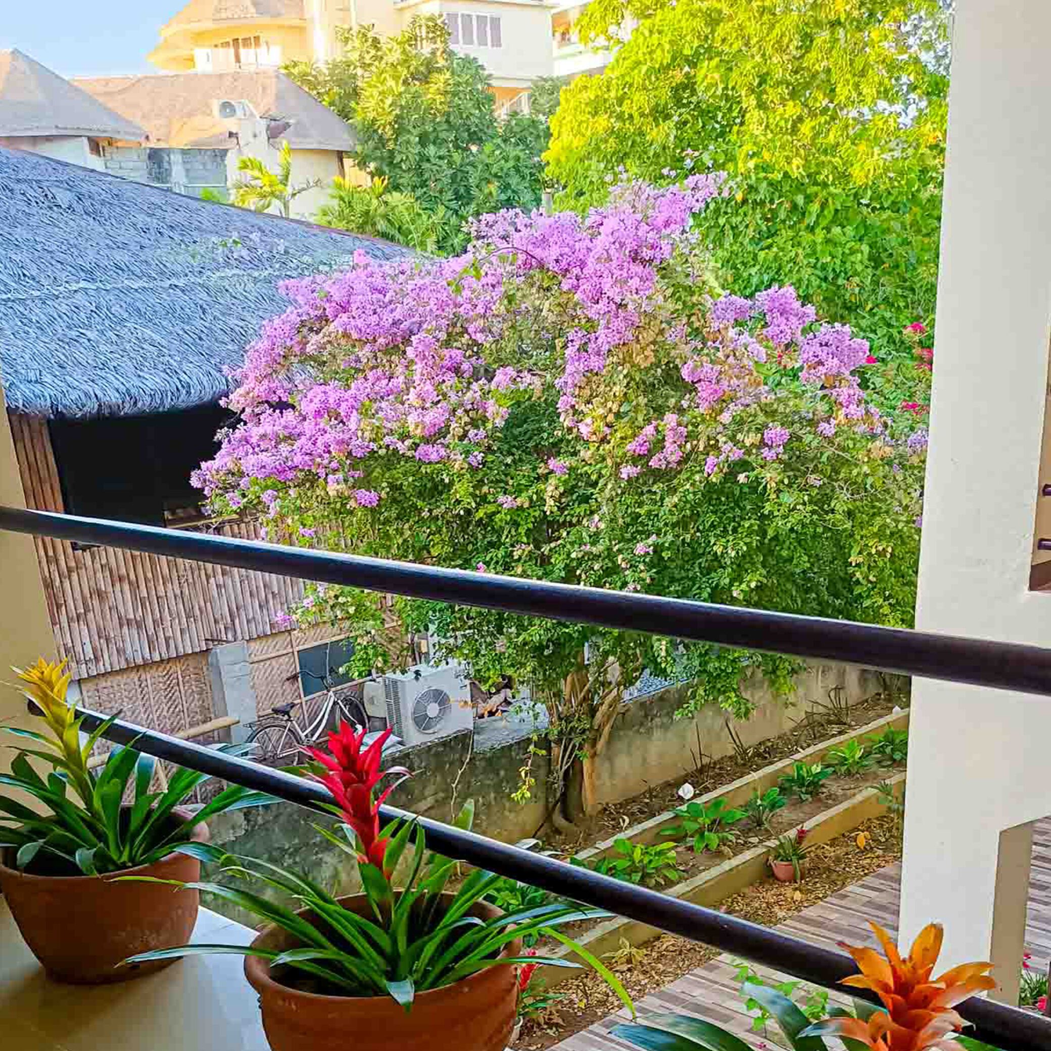 Foto - Lukay Las Brisas