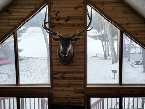 A room with a large wooden ceiling and a mounted deer head. - Bayview  1 (Mercer)