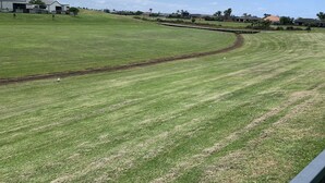 Un champ verdoyant avec un sentier sinueux, des maisons en arrière-plan et un ciel dégagé.