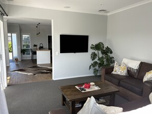 Smart TV, stereo, computer monitors