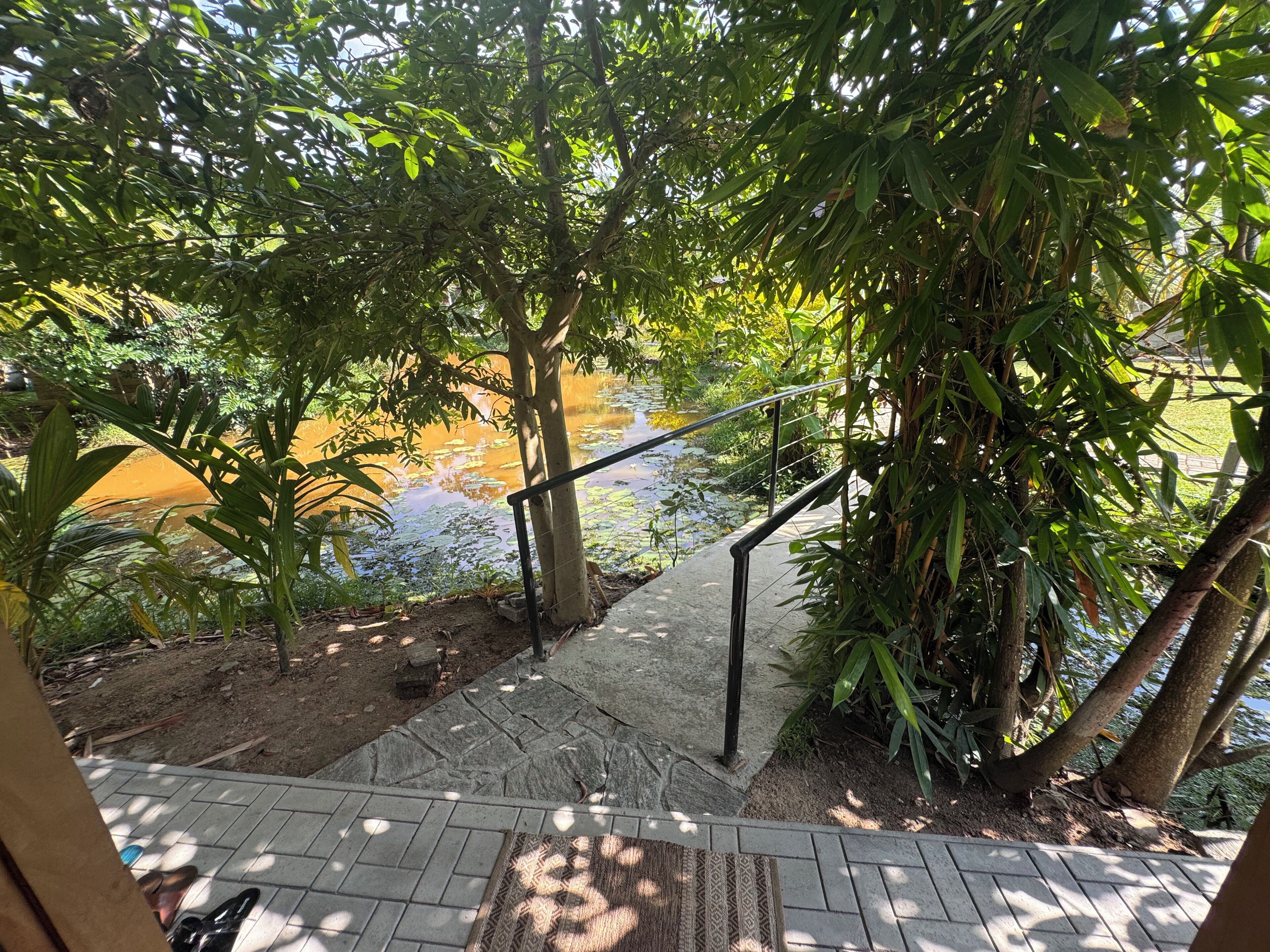 A stone staircase leading to a pond surrounded by lush greenery.