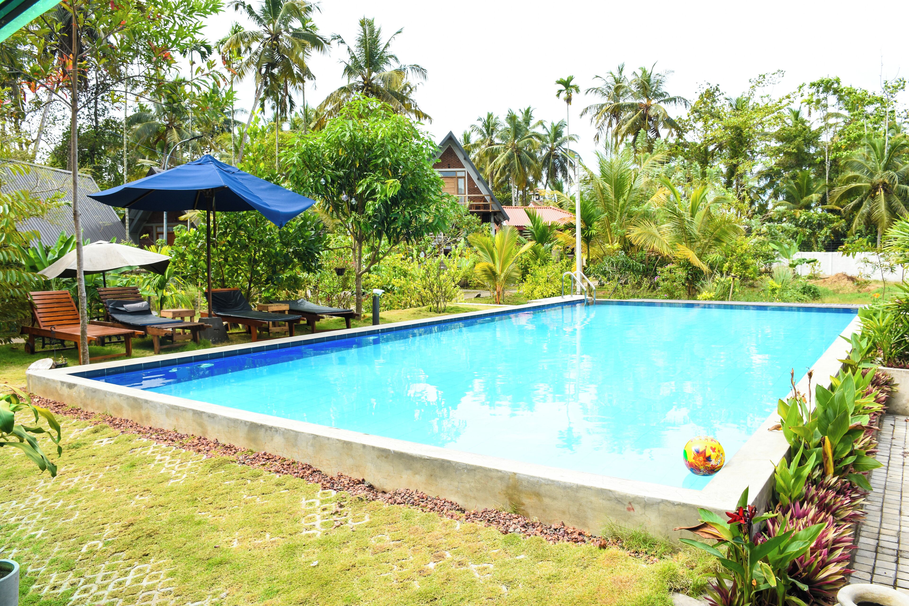 Ein rechteckiger Swimmingpool mit glasklar blauem Wasser, umgeben von einer Rasenfläche mit einer gefliesten Bordüre. Liegestühle und ein blauer Sonnenschirm befinden sich unter einem Baum, und am Poolrand liegt ein kleiner dekorativer Ball.