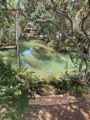 Hidden Spring Run • Elevated Views • 2 Kings • 75" Smart TV • kayaks • Game Rm