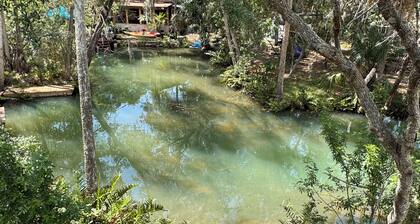 Hidden Spring Run • Elevated Views • 2 Kings • 75" Smart TV • kayaks • Game Rm