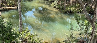 Hidden Spring Run • Elevated Views • 75" Smart TV • kayaks • Game Rm