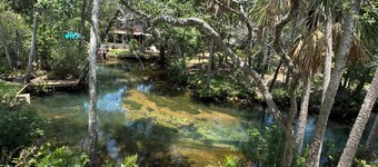 Treetop Hideaway on private Spring-Game room, Dual Patios