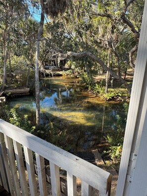 Property grounds - Private Spring run, Game room, Dual Patios, Treetop hideaway  (Spring Hill)