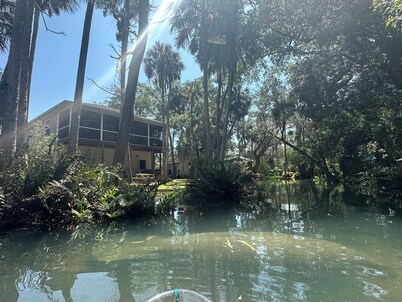 Private Spring Swimming & Serenity