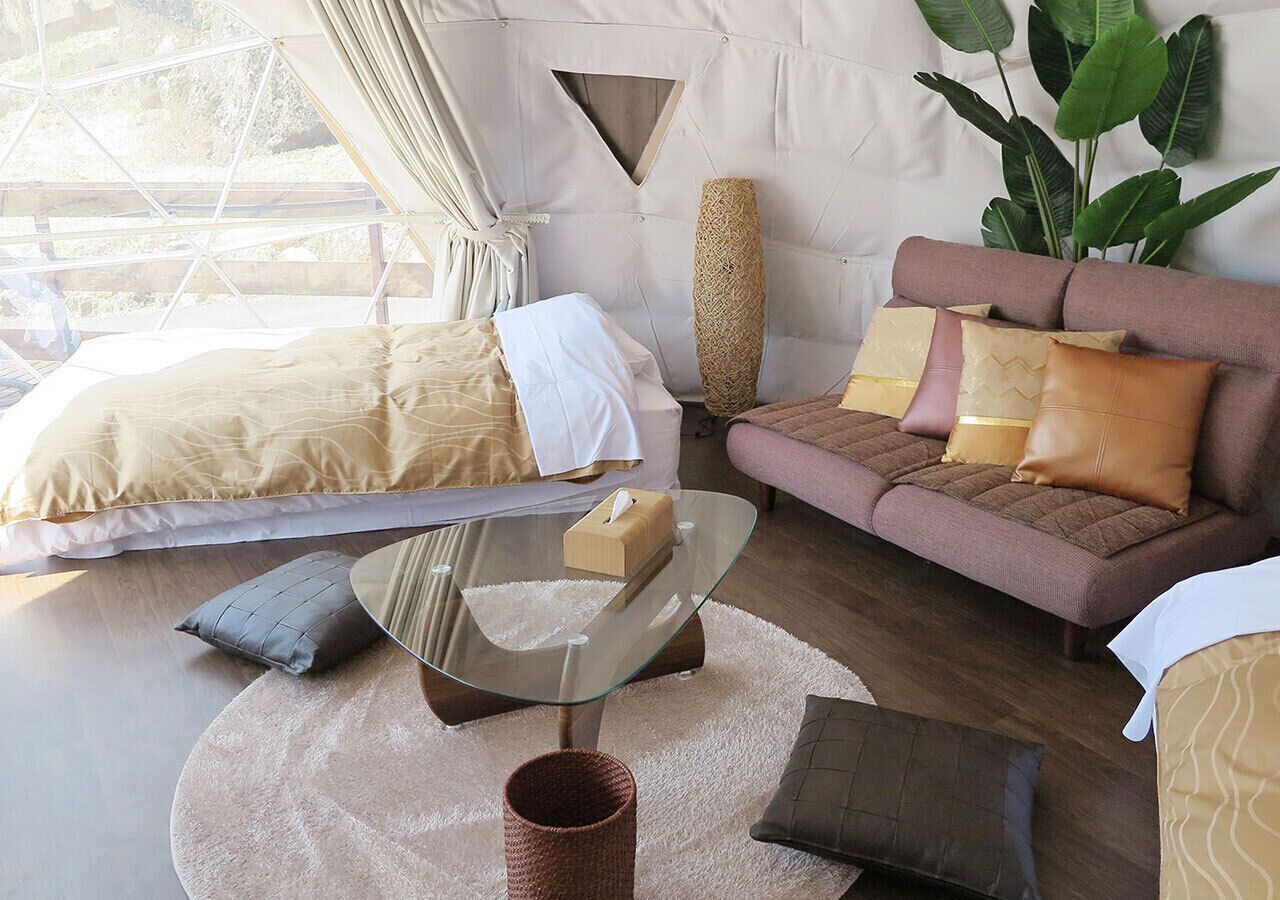 A modern bedroom with a bed, a glass coffee table, a sofa, and a large plant.