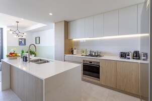 Premium Apartment, 2 Bedrooms | Private kitchen | Full-size fridge, microwave, oven, stovetop