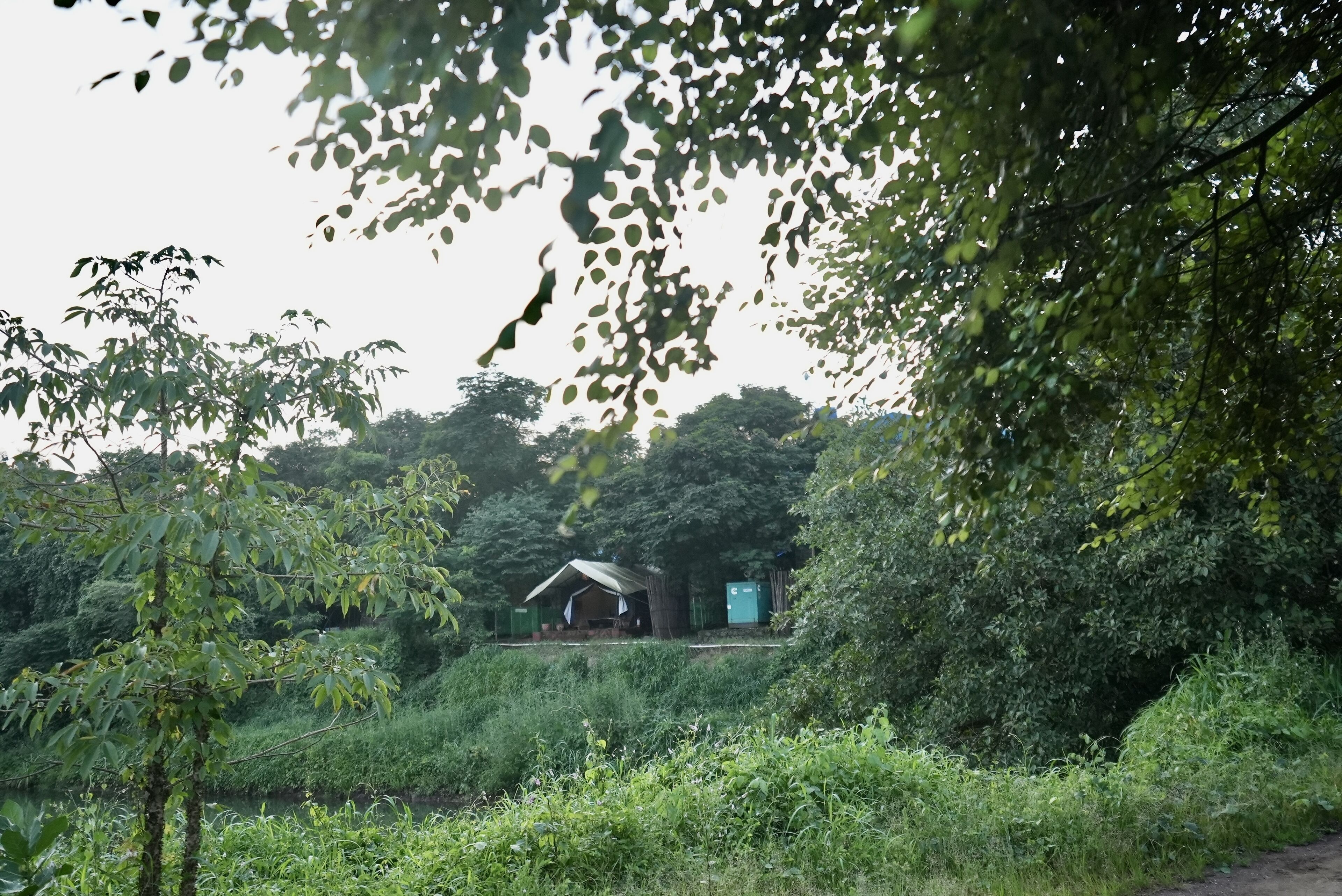 A rustic cabin surrounded by dense greenery, with a small porch and a visible water source nearby.