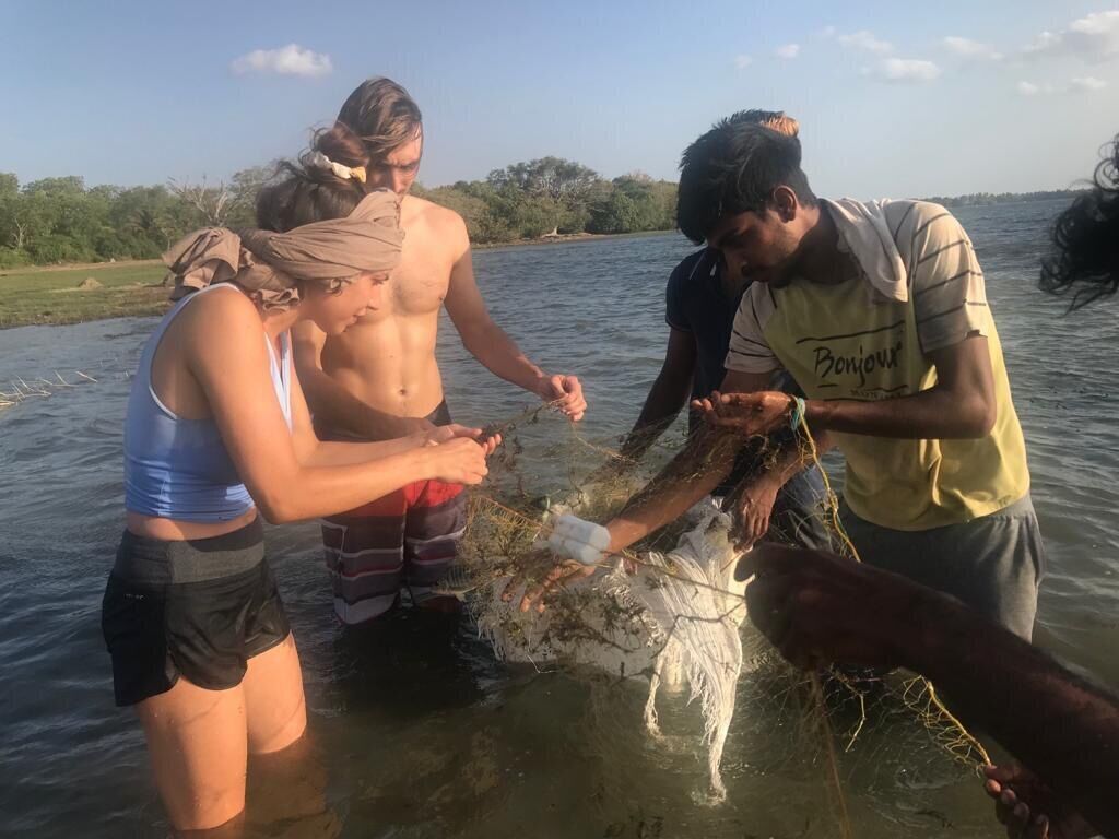 A group of people in a shallow body of water, possibly engaged in an activity like fishing or cleaning a fish.