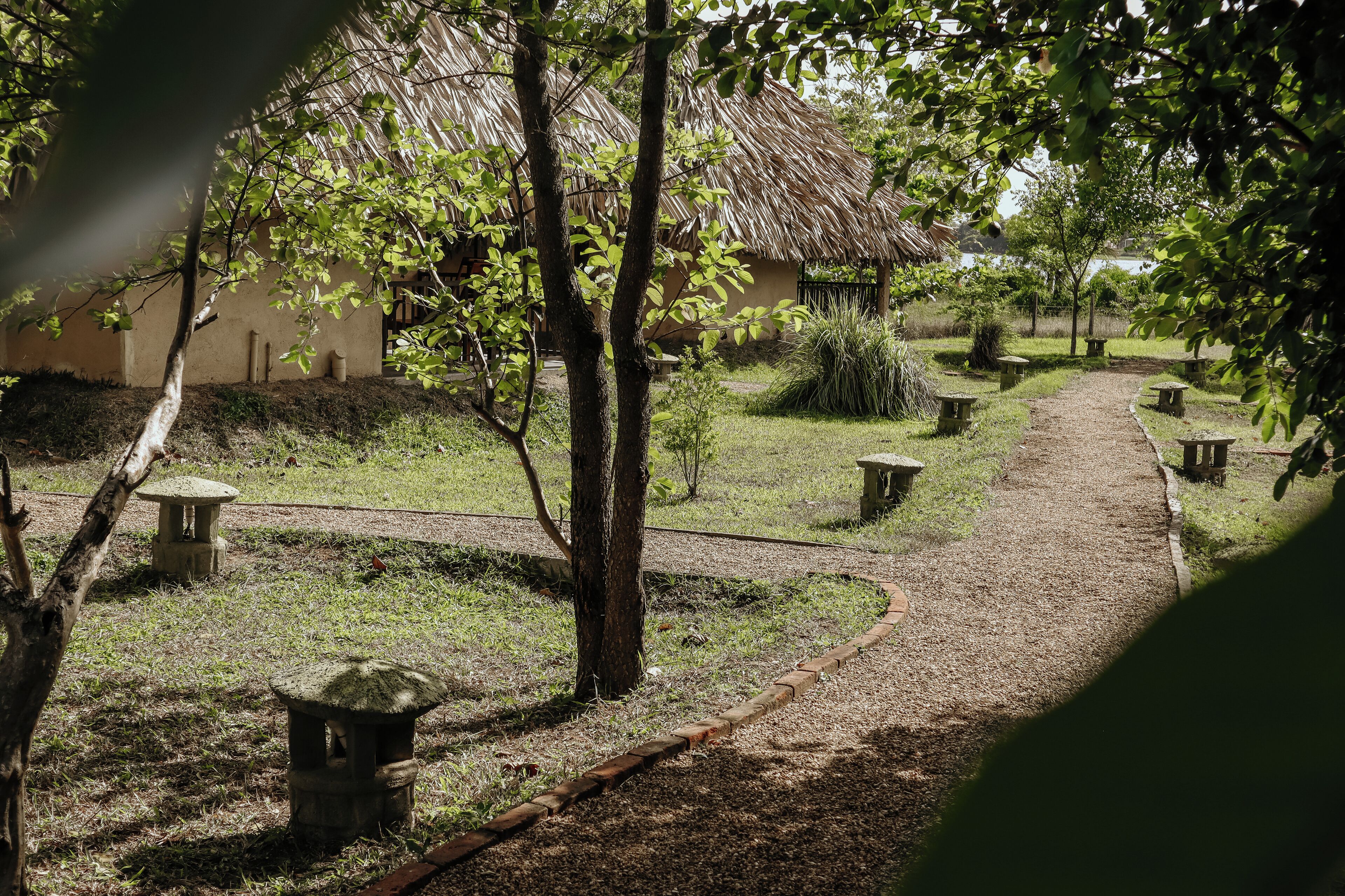A pathway leading to a thatched-roof building surrounded by trees and stone benches.