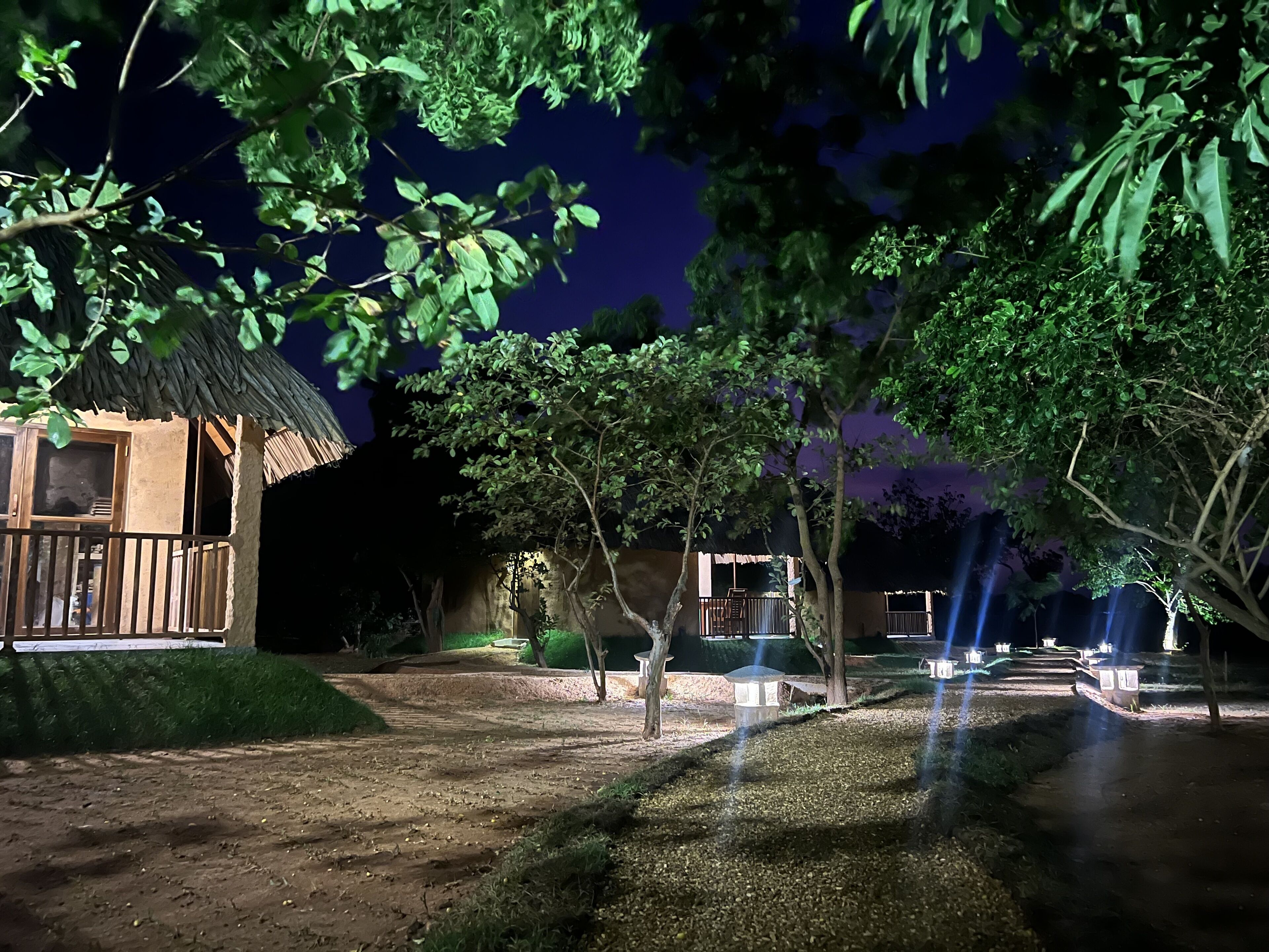 Vista nocturna de un resort con un edificio de techo de paja, un camino de tierra y árboles.