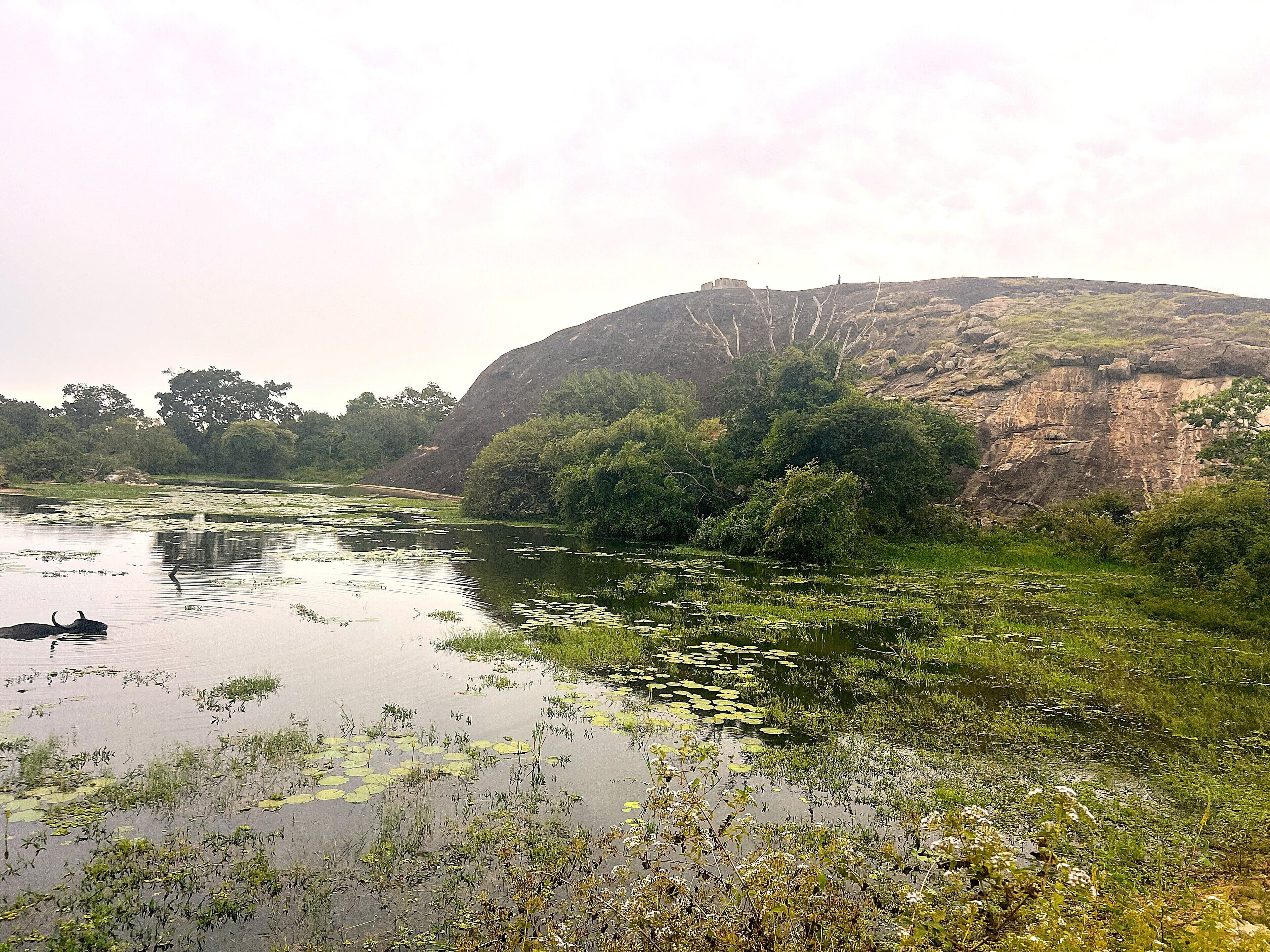 A natural landscape with a river, dense vegetation, and a hill with a structure on top.