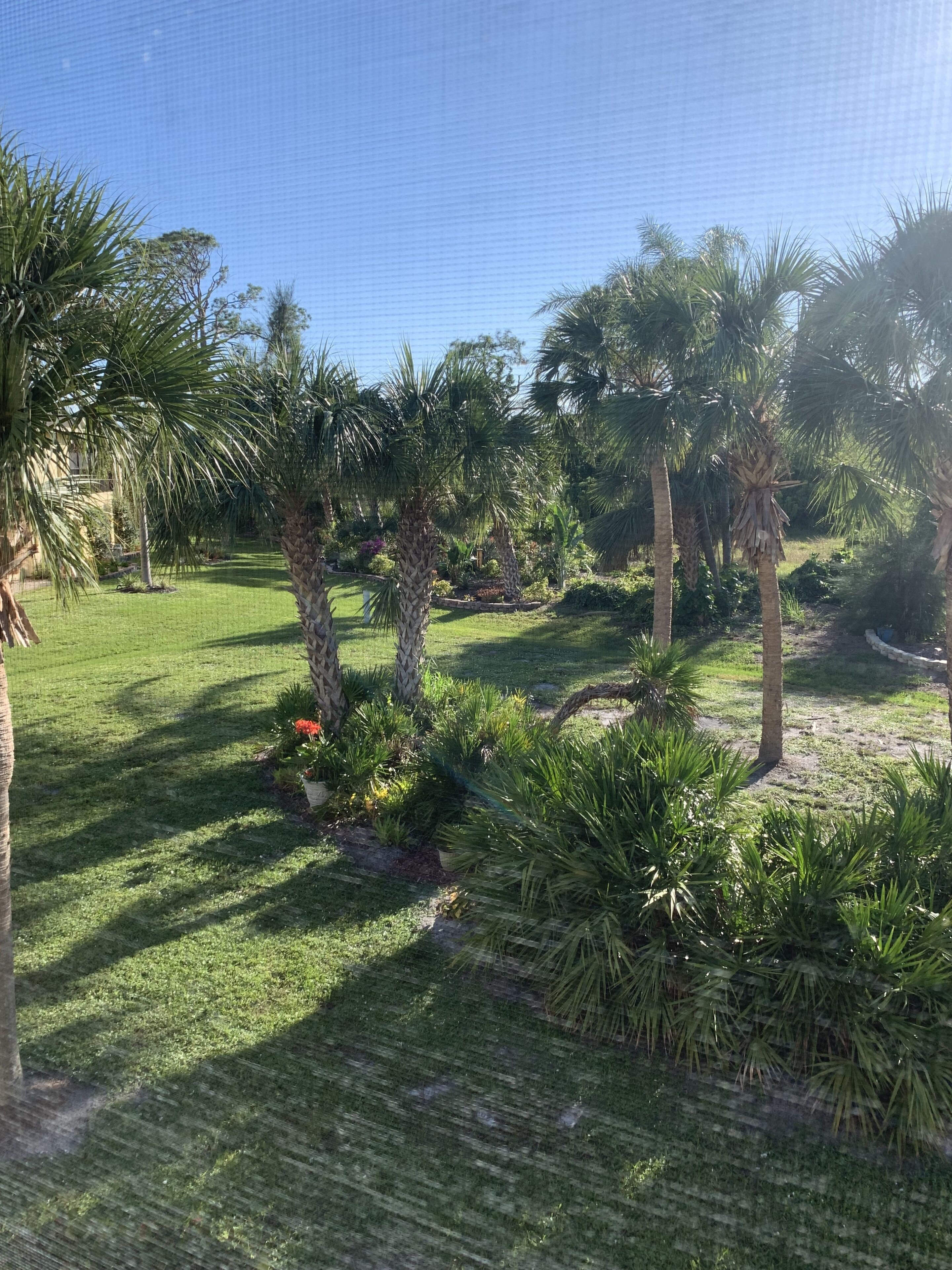 Área da propriedade