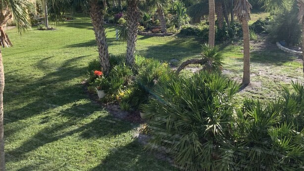 A well-maintained garden with various palm trees and shrubs, a clear sky, and a neatly trimmed lawn. - Near Beaches! UPDATED! Peaceful Forest Park Condo 2 bd 2 bth. Heat comm pool (Englewood)