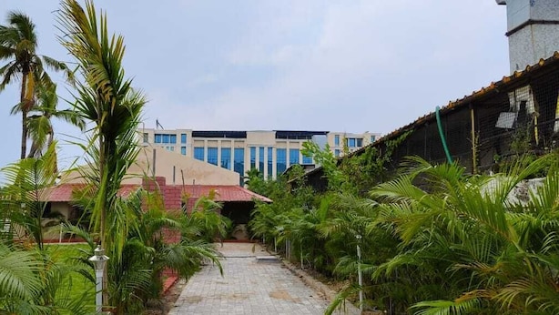 Un sendero conduce a un edificio de diseño moderno, rodeado de exuberante vegetación y palmeras.