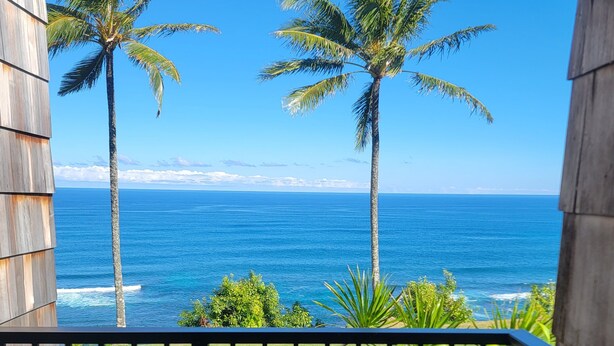 A view from a balcony overlooking a beach with palm trees and the ocean. - NEW:  Oceanfront, Newly Remodeled 2 bedroom condo,  WiFi, AC  (Princeville)