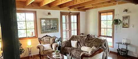 Smart TV, fireplace, DVD player, books