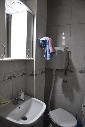 Een haardroger, handdoeken, zeep, toiletpapier