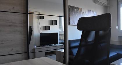 Cozy Apartment near City Center