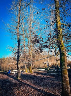 Jabón, champú y papel higiénico